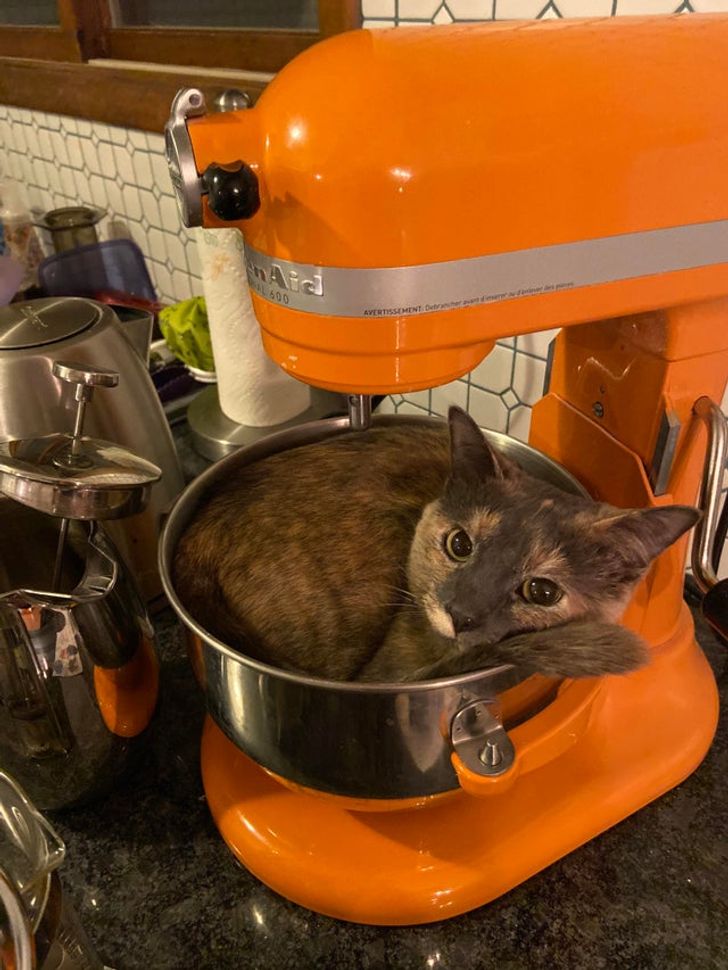 5796e258149ee292e304f61458