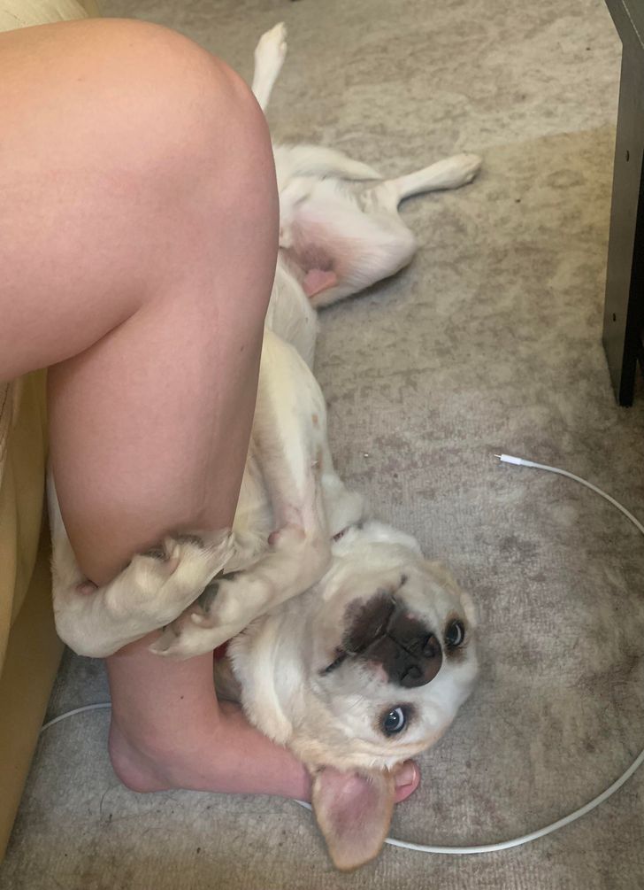 579cbf585ab826fff4f8ce2f44