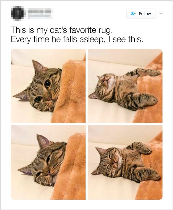 57a4ec52c0b16ab7d2496aa1a3