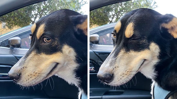 57b1455f9787883182a2862070