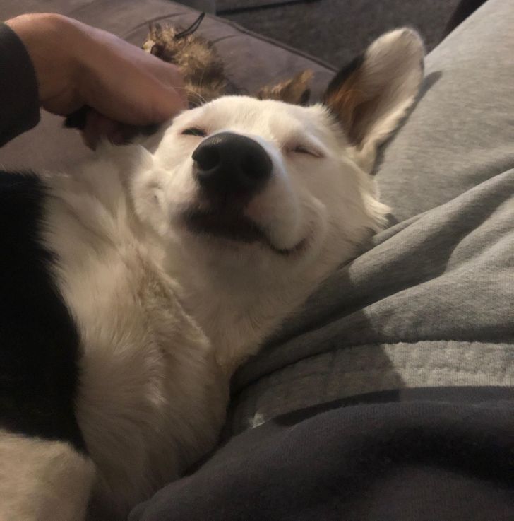 57bb4c5c289116839c08a6ce7b