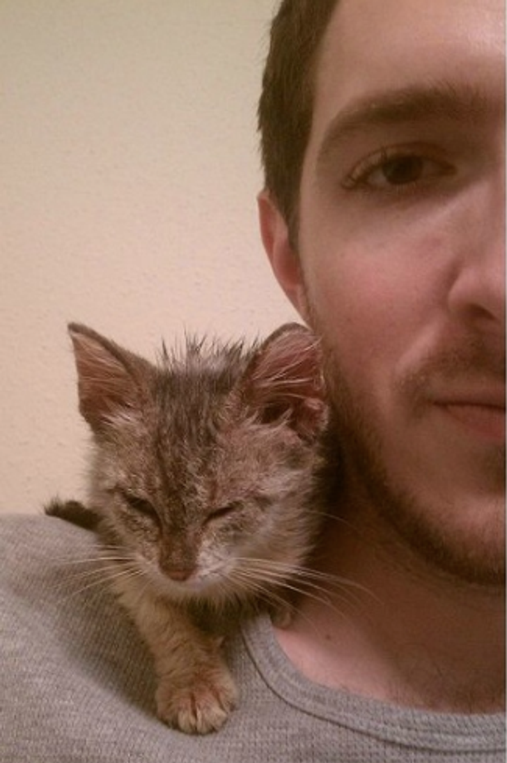 57bc3751f3a83a8060cb32a51f