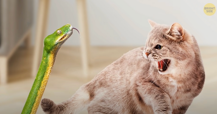 57bd2e57f3aeef71f0349c2b00