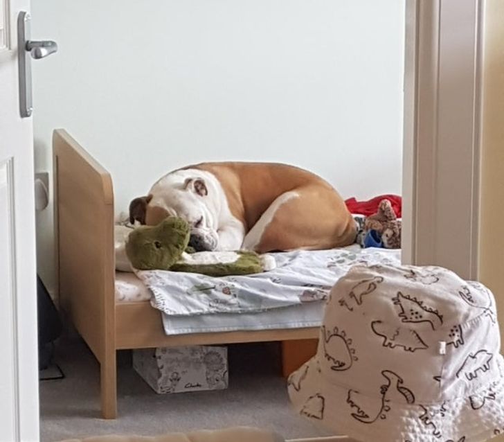 57be0f5001a5a4c064c8b0758a