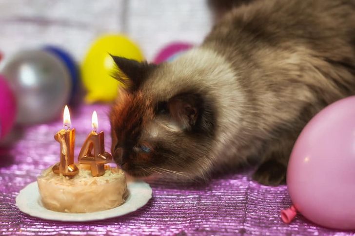 57be9857d8b129b30f9624827d