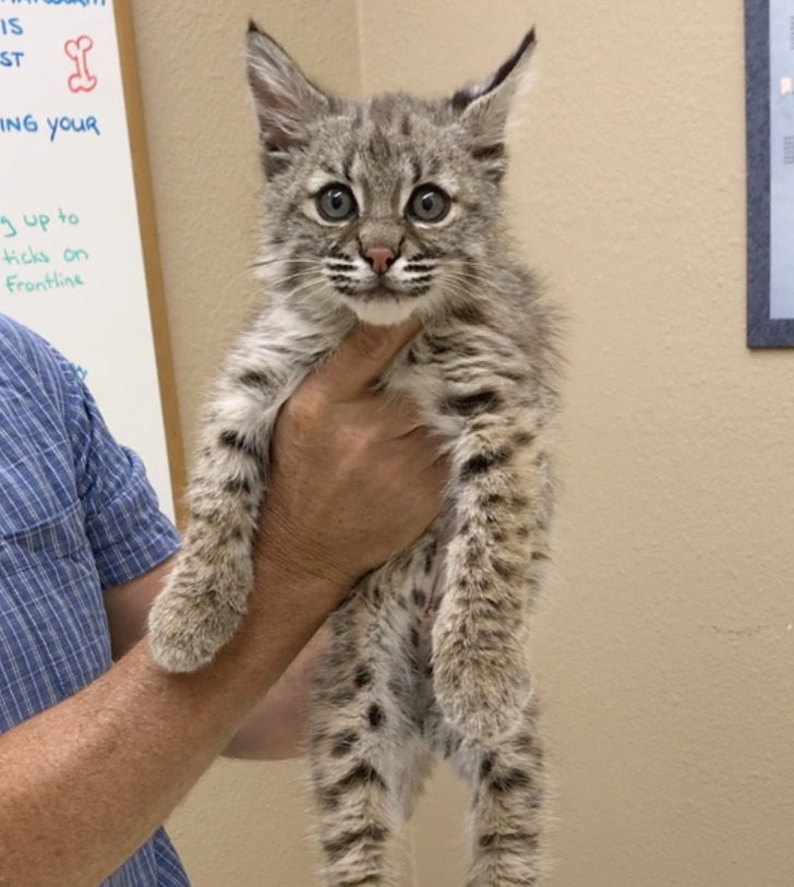 57c534550abcb22e559213607f 57c534550abcb22e559213607f