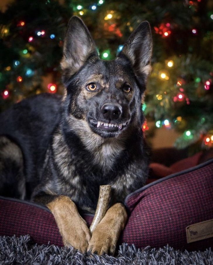 57d1455536a7da3abb0ee04239