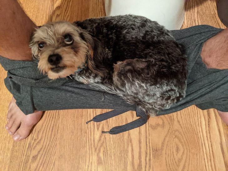 57d1785e9f9c60f50afb6c8a64