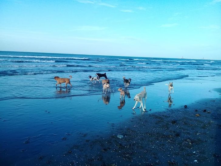 57d963500a949c9609ee34c1d4