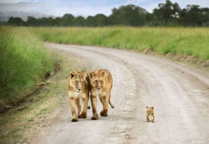 57db6d56c08a2e15b378882d84