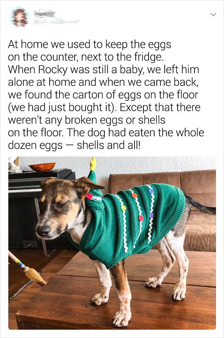 57dd9e57239f8cad7bfa76beac