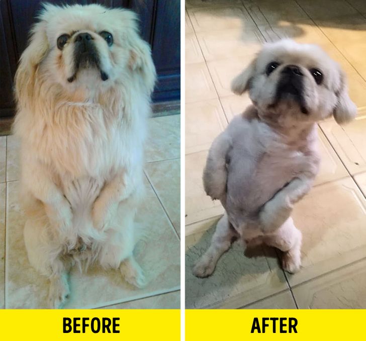 57dff4573f9528ff2e7eeb6c47