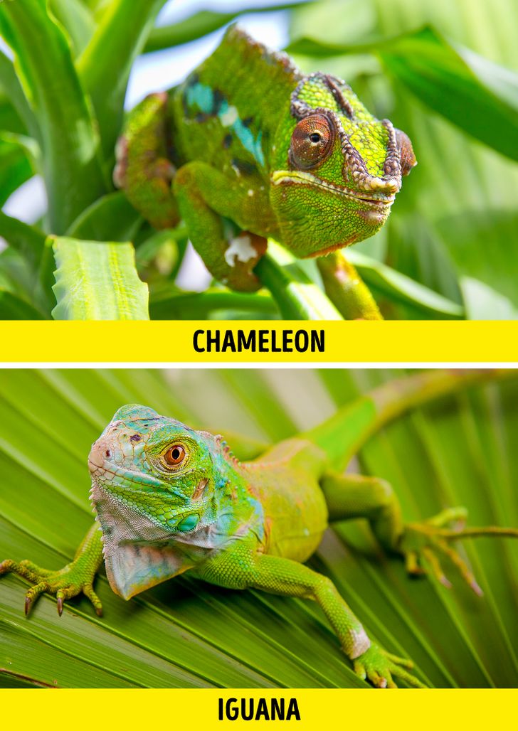 57f9af5a33b7bd5b157d5327d3