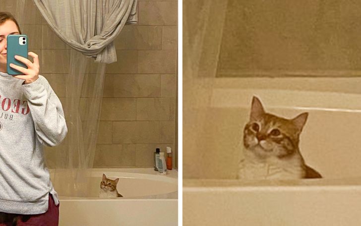 57fa0b58ed83b043411f74b852