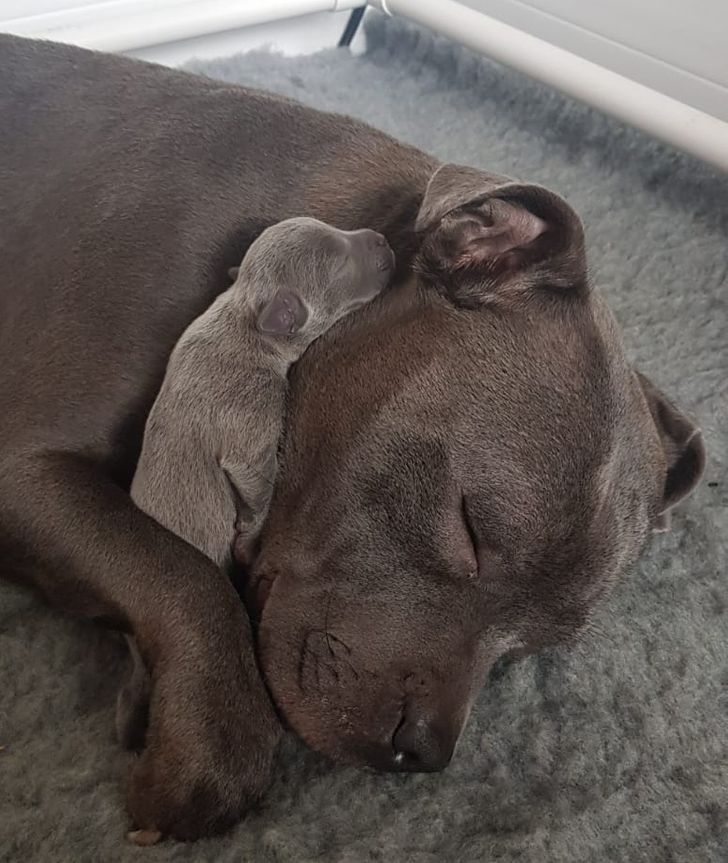 57fbfd5b8aa8ff10e1c6fc3253