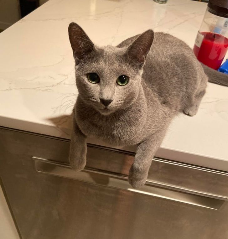 57fdcc5875902484991b144ed2