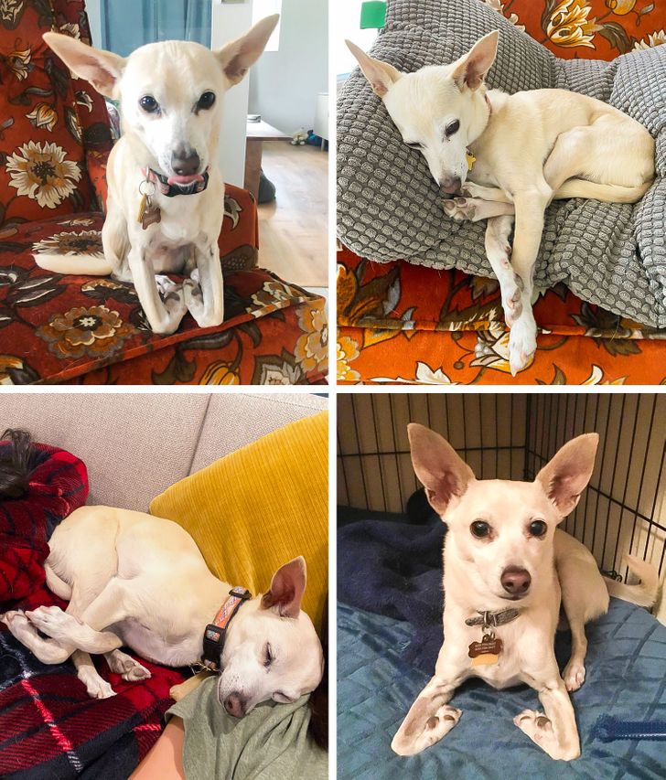 5804685c3680e6e0cbe0f85078 5804685c3680e6e0cbe0f85078