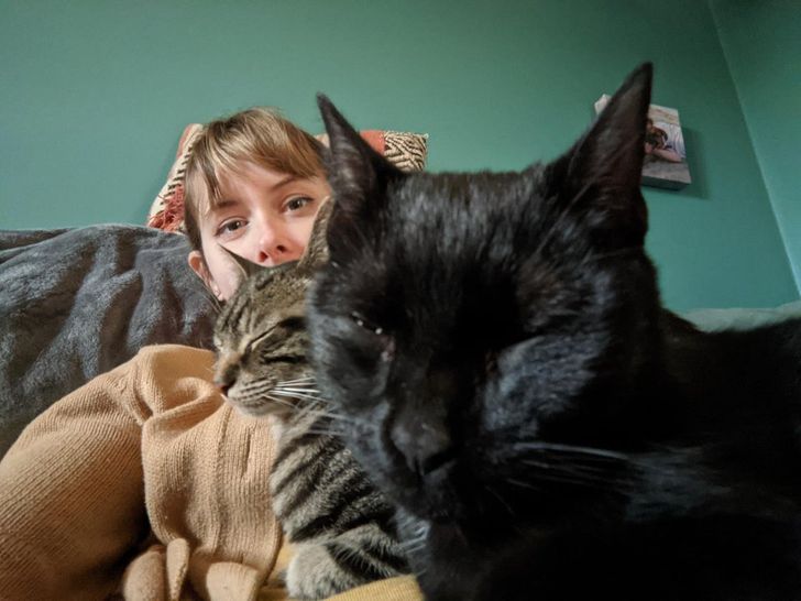 58067654549a7934cf6feaf874