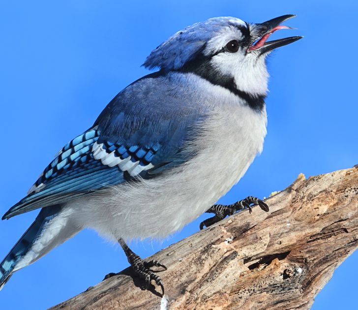 580d9f5b55b07a29171ea94c53