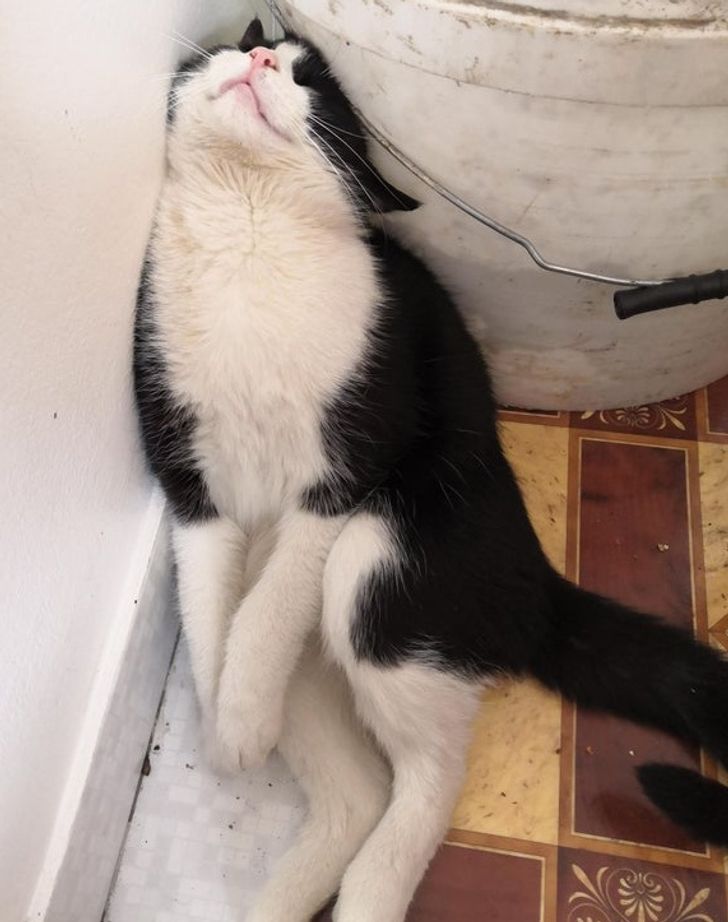 5813de55b4bec9d31e1ddf0a99