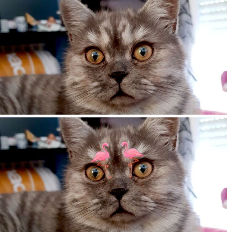 581928589cb0d9cd1785e6987c