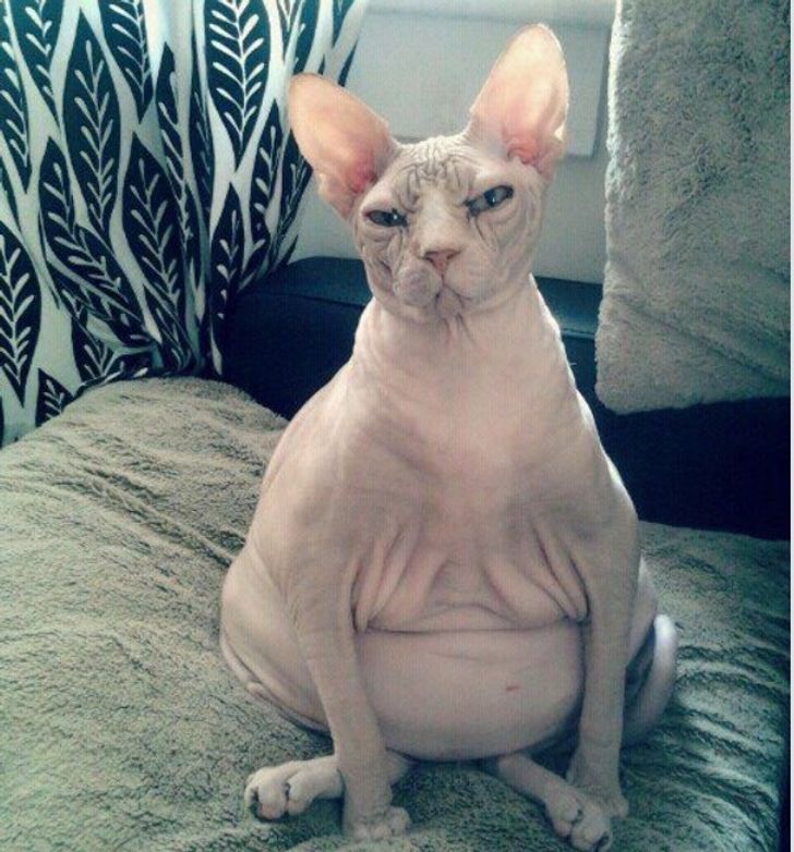 581a325e9f9eebc51e816fb893