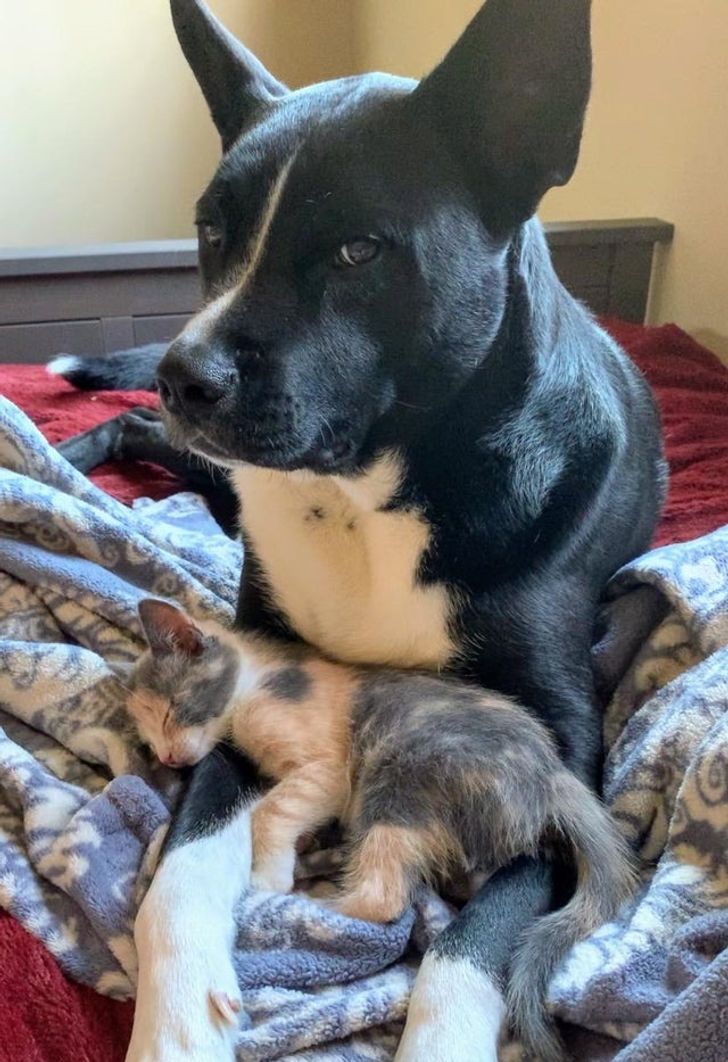 581a885ca1bc24deaaceb4ab66