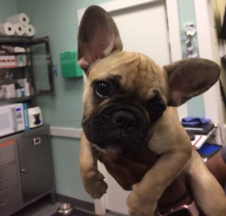 581f685880b409f253dfe0e5eb