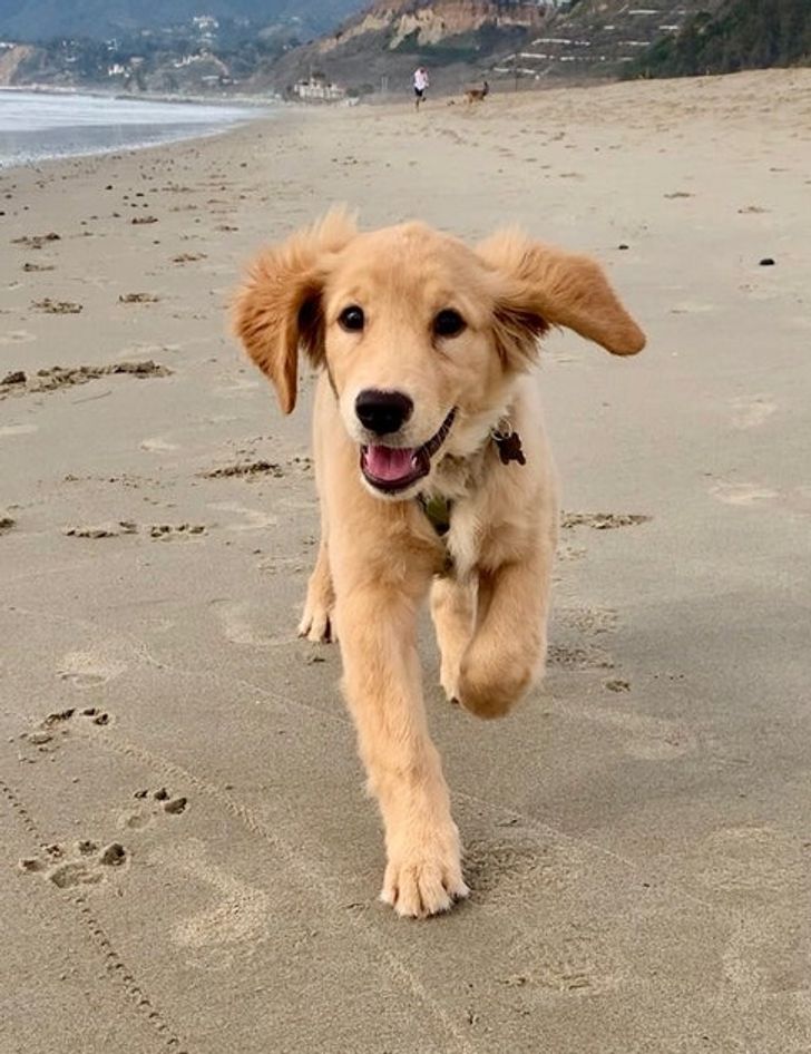 581fb85e849fd55e3557493487