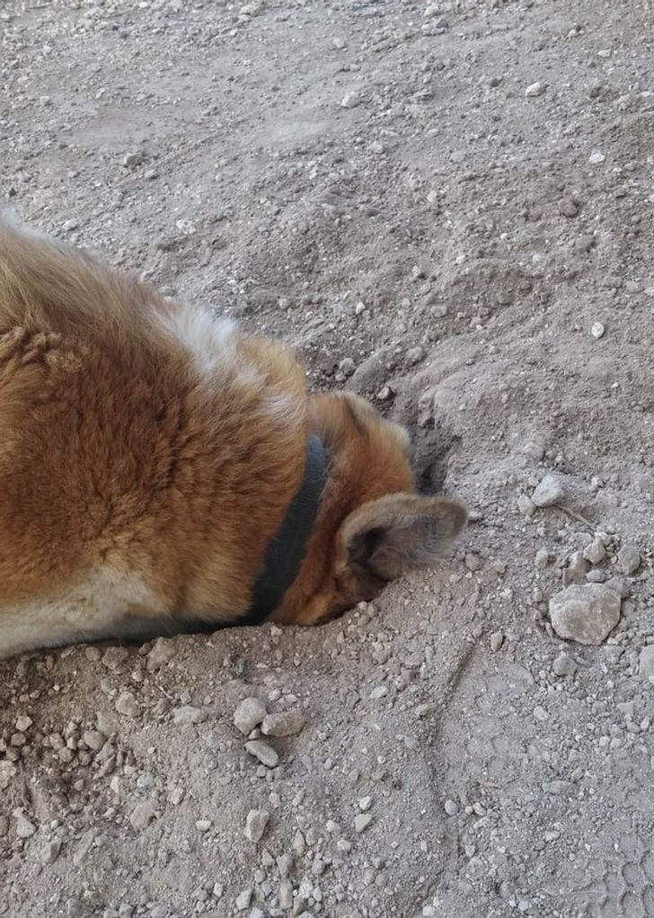 581ff95c9a986498dfc20fedd9