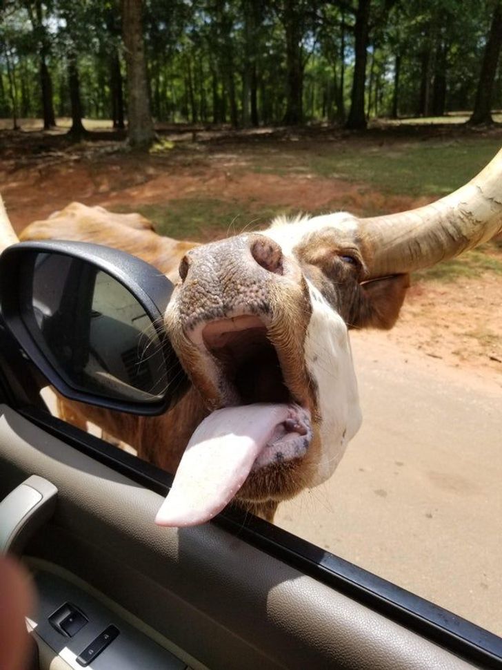 5830935795bbbb0f67a34d13f2