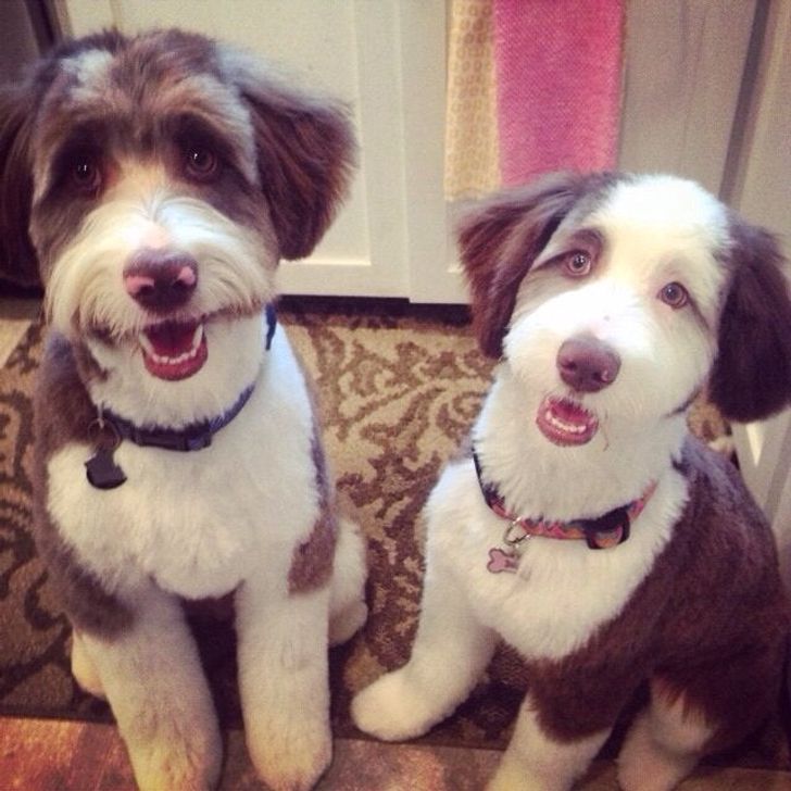 583bf05d3ba0a69ecbbd7a2509