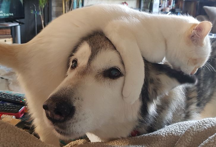 583e0151e38287b5ef5cbcc11e