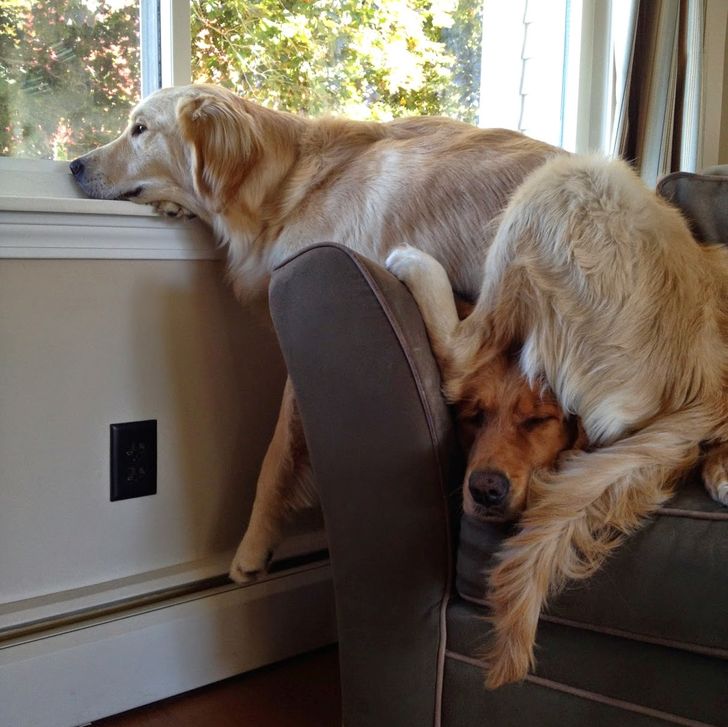 58456e5f2ea62877fbf03dc7f7