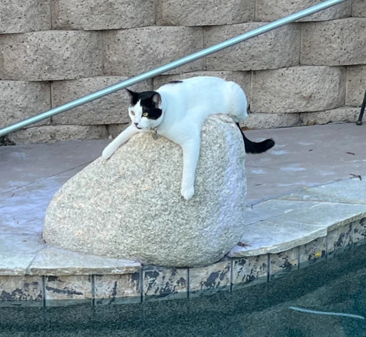 584add52eb89c65804ea3182d0