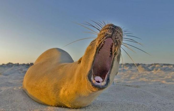 584d3c5be1b290959691d0618b