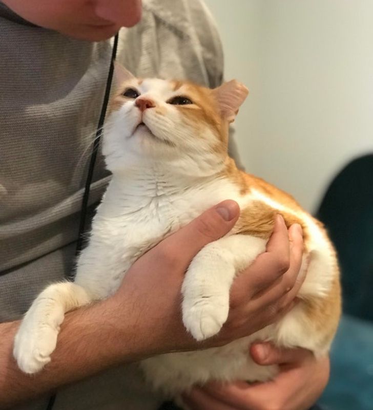 584e235b089381a021f0fc4b0e