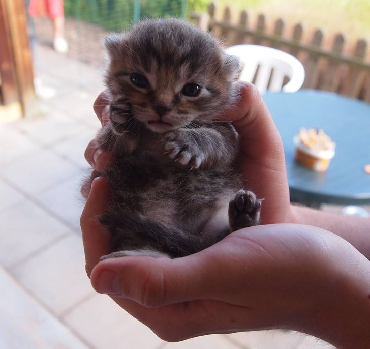 5850265dbe9245759c16a8cfef