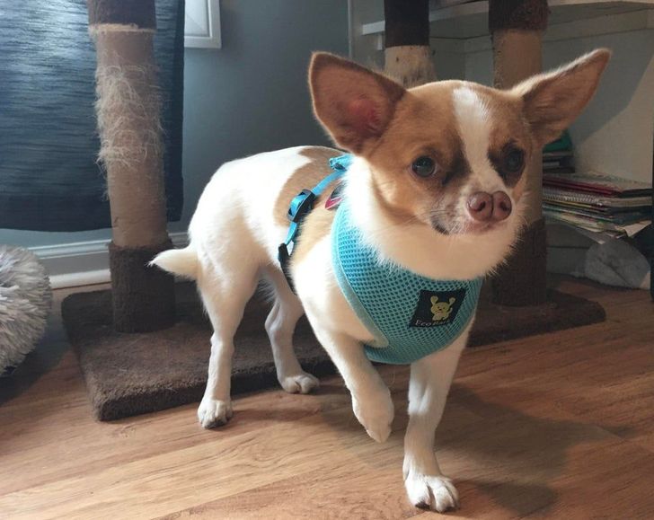 58552f5a9fbaf97d2bcc53ff39