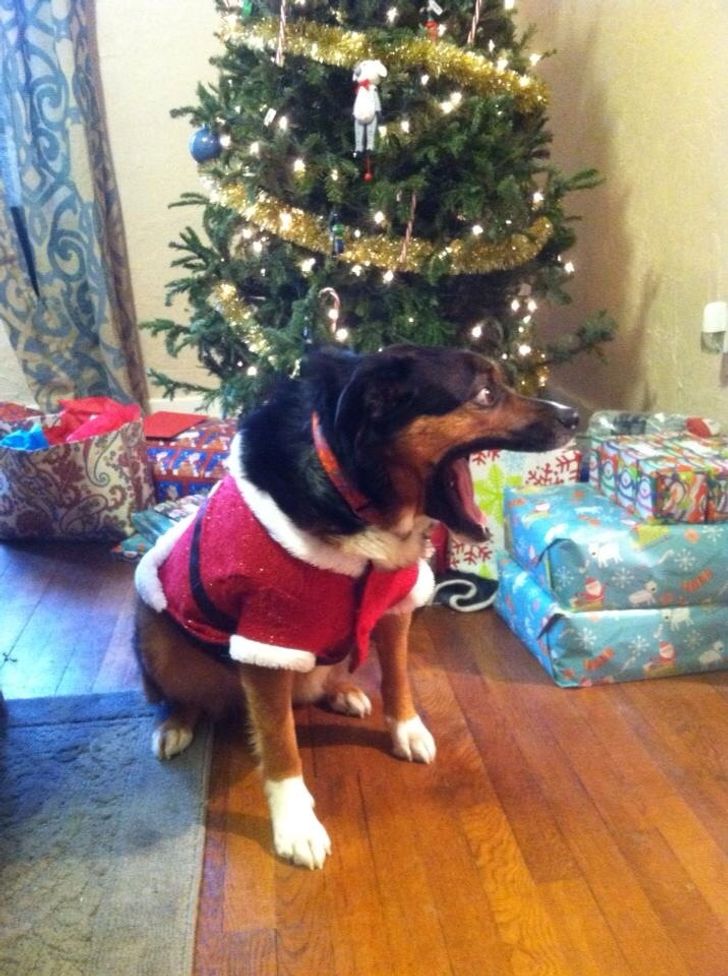 58573b51f8a5354d69997203f8