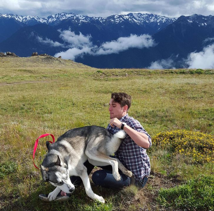 585f5b57f88745bc7d15641129