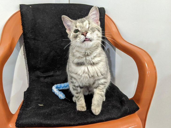 585fa25b53808b33f551f04784