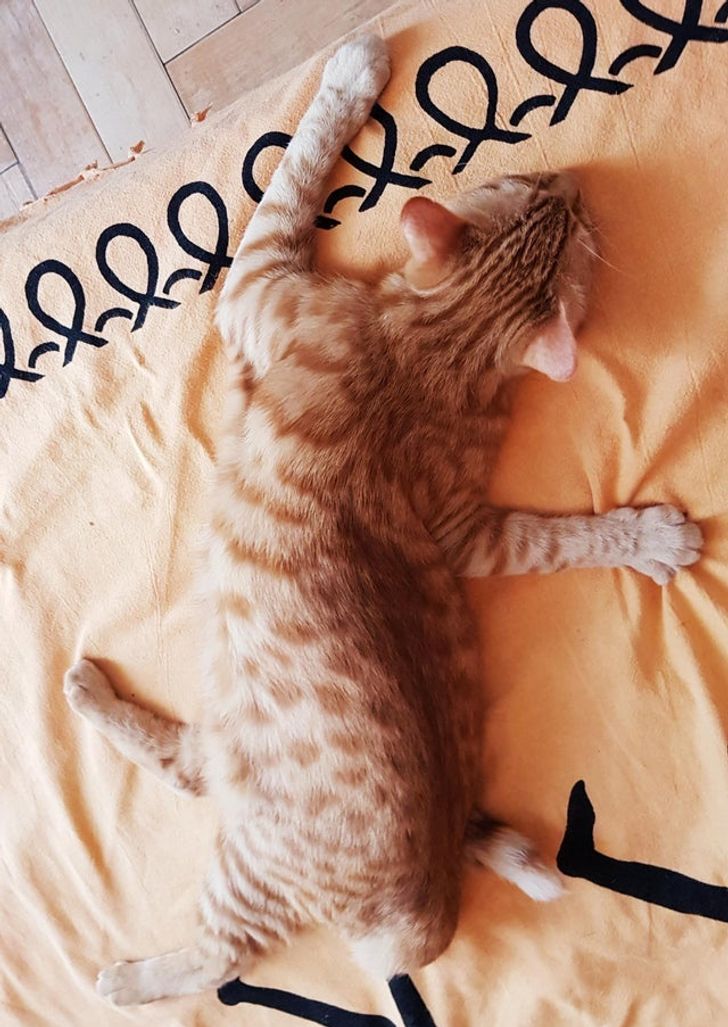 5862fd55d9b8892f4efc272729