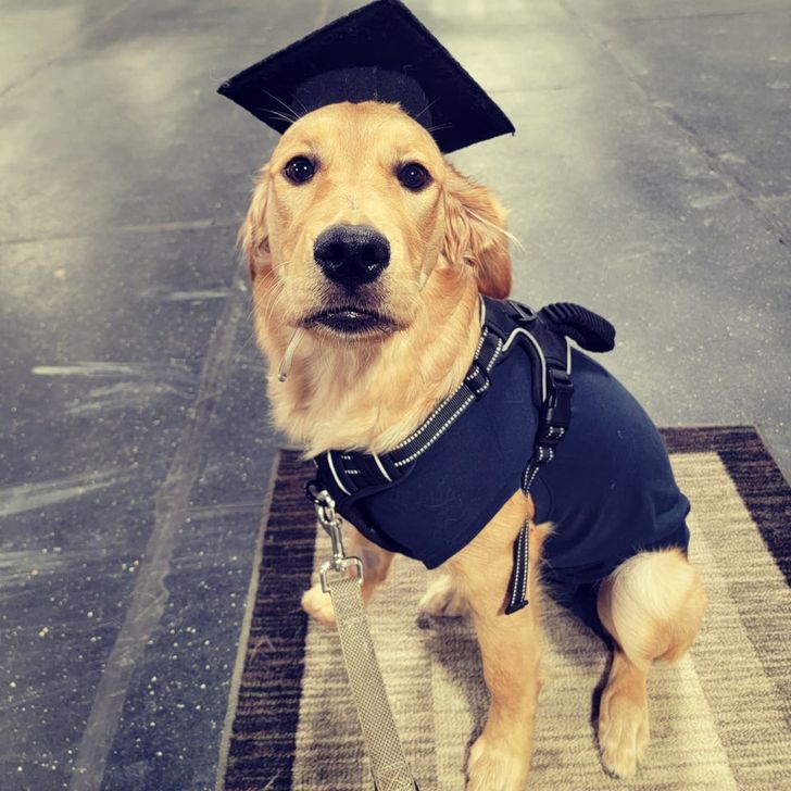 5865dd5db3b3f78b7524498617