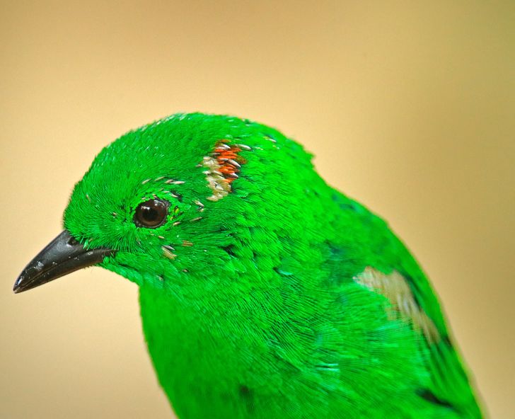 586cdd5072806db9f08eb27fe8