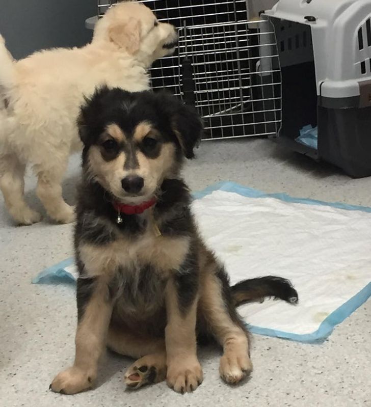 586f0d52c28f6ccf7deac788cd