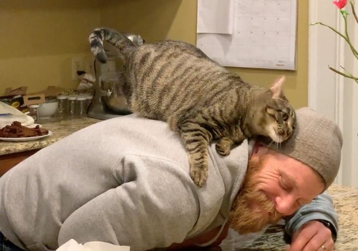 58713755f3b05e4a1fe569d2f5