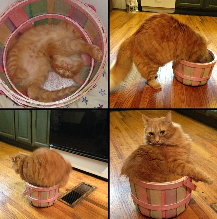 587c495b069e209cd3464eeec4