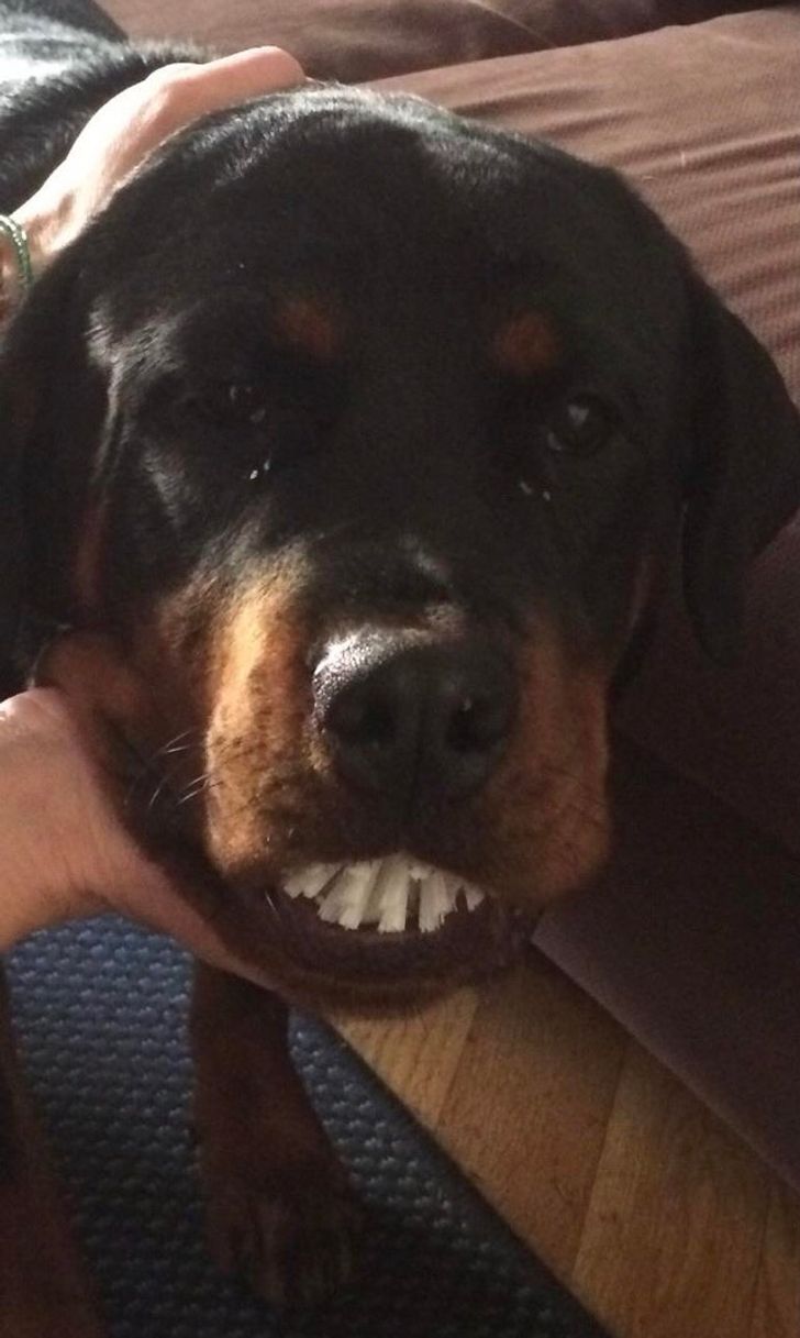 587db2572789b7dfa50dc1d9f4