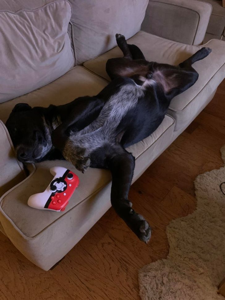 587fb35f9aa7befa2dda2e5966 587fb35f9aa7befa2dda2e5966